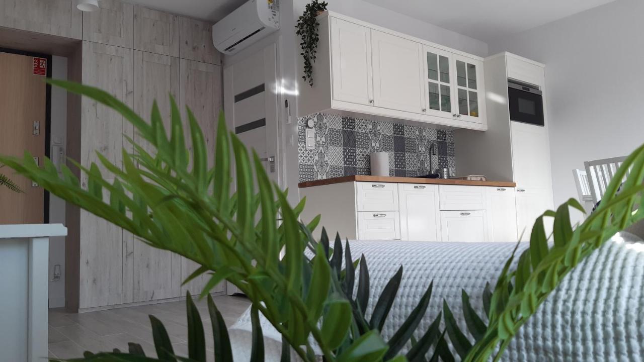 Apartament Biala Foczka Daire Stegna  Dış mekan fotoğraf